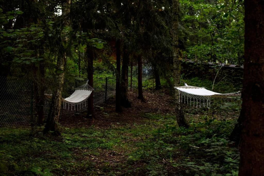 Okno Na Las Wola Polska Dış mekan fotoğraf